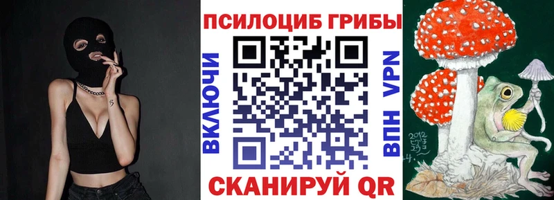 ссылка на мегу маркетплейс  Хвалынск  Галлюциногенные грибы Magic Shrooms 